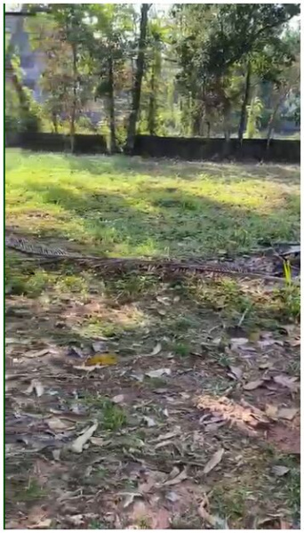  Residential Plot 22 Cent for Sale in Mamangalam, Edappally, Ernakulam