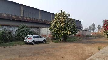  Factory for Rent in Rohad Industrial Area, Bahadurgarh