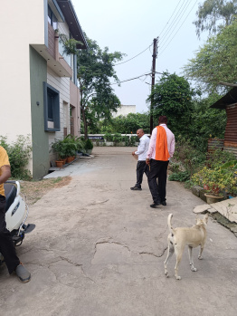 Residential Plot for Sale in Amleshwar, Raipur