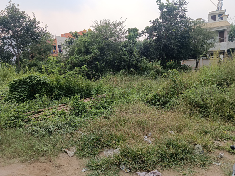  2400 Sq.ft. Residential Plot for Sale in Amleshwar, Raipur