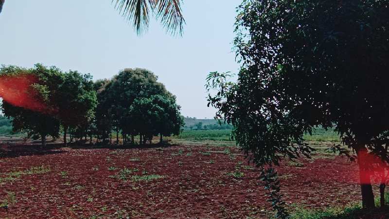 Agricultural Land 70 Guntha for Sale in Dindori, Nashik