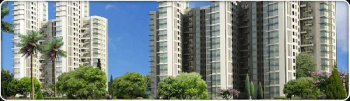 3 BHK Flat for Sale in Jaypee Greens, Greater Noida
