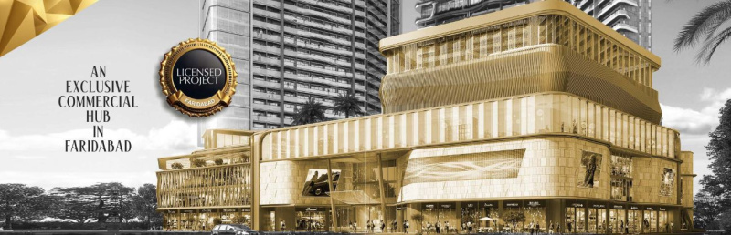  300 Sq.ft. Commercial Shop for Sale in Sector 20 Faridabad