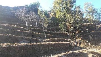  Residential Plot for Sale in Mall Road, Nainital