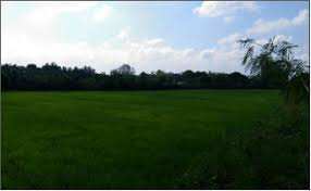 Agricultural Land 1 Bigha for Sale in Pukhrayan, Kanpur Dehat