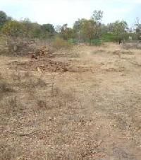  Agricultural Land for Sale in Lepakshi, Anantapur