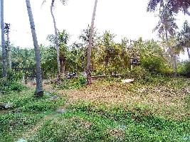  Agricultural Land for Sale in Natham Road, Madurai