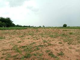  Agricultural Land for Sale in Alagar Kovil, Madurai