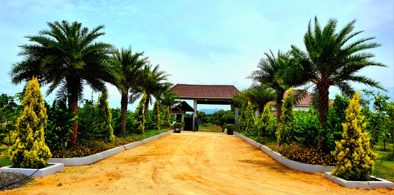2 BHK Farm House 10000 Sq.ft. for Sale in Villivakkam, Chennai