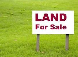  Residential Plot for Sale in Farabari, Siliguri