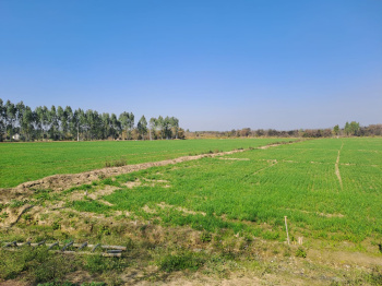  Agricultural Land for Sale in Rajabpur, Gajraula