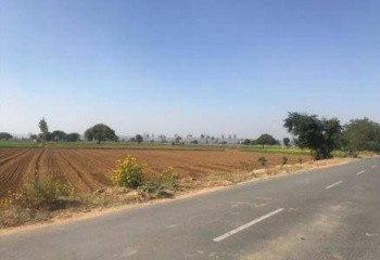  Residential Plot for Sale in Garhmukteshwar, Hapur