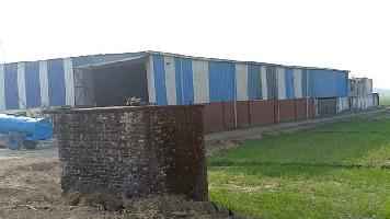  Factory for Sale in Udham Singh Nagar, Kashipur