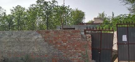  Residential Plot for Sale in Kalanwali, Sirsa