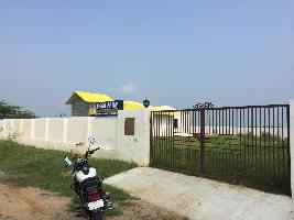  Agricultural Land for Sale in Samana, Patiala