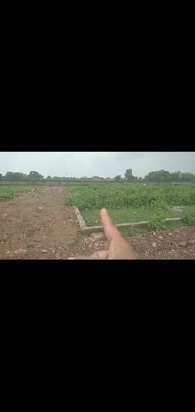  Residential Plot 1650 Sq.ft. for Sale in Amaudha, Satna
