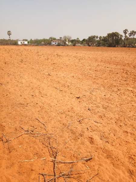 Agricultural Land 18 Acre for Sale in Markapur, Prakasam