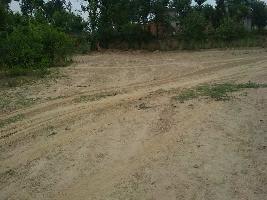  Residential Plot for Sale in NH-154, Bilaspur