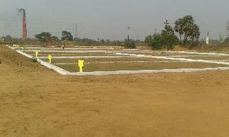 400 Bigha Residential Plot for Sale in Naubatpur, Patna