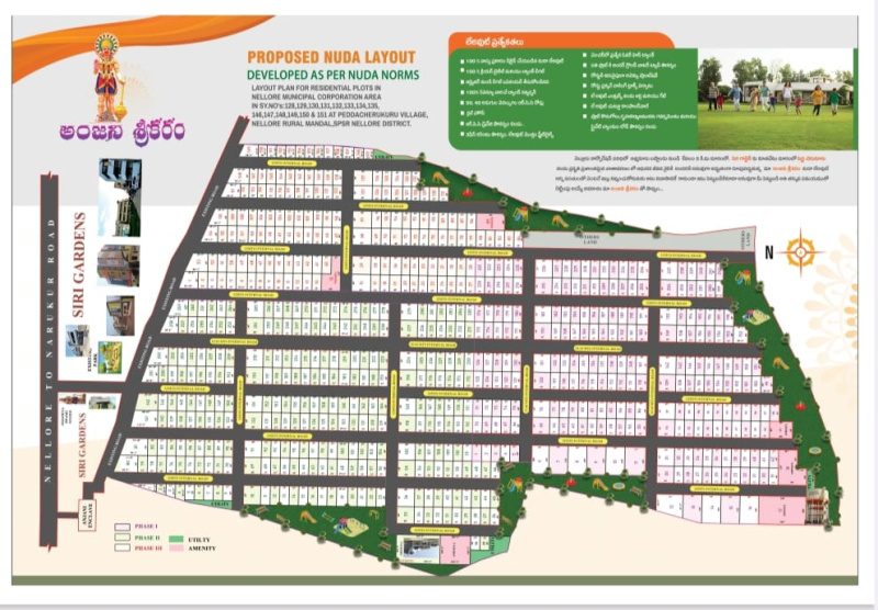  Residential Plot 1980 Sq.ft. for Sale in Allipuram, Nellore