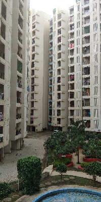 1 BHK Flat for Rent in Naigaon East, Mumbai