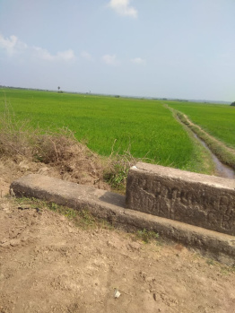  Agricultural Land for Sale in Acharapakkam, Chengalpattu