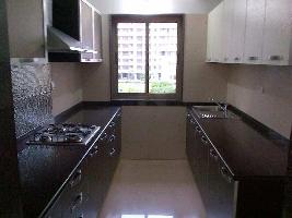 1 BHK Flat for Sale in Techzone 4, Greater Noida