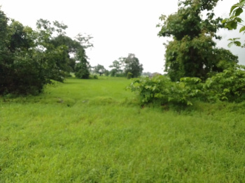  Agricultural Land for Sale in Shahapur, Thane