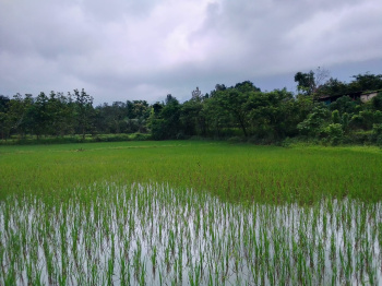  Agricultural Land for Sale in Murbad, Thane