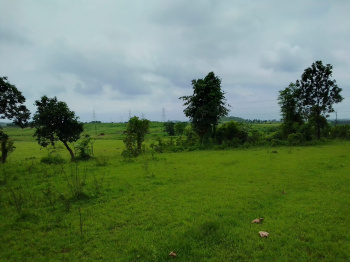  Agricultural Land for Sale in Shahapur, Thane