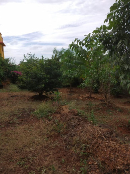  Residential Plot for Sale in Shahapur, Thane