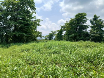  Agricultural Land for Sale in Murbad, Thane