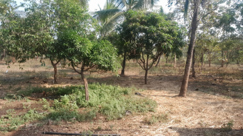  Agricultural Land for Sale in Murbad, Thane