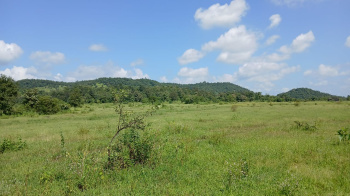  Agricultural Land for Sale in Shahapur, Thane