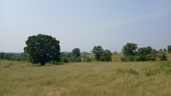  Agricultural Land for Sale in Khardi, Thane