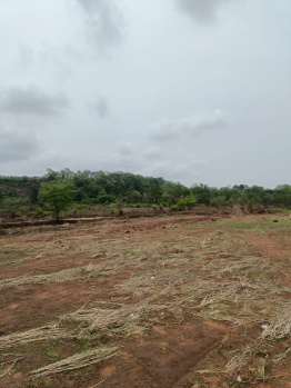  Agricultural Land for Sale in Murbad, Thane