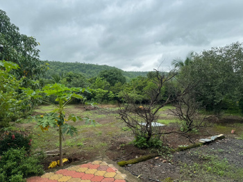  Agricultural Land for Sale in Mumbai Beyond Thane