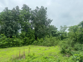  Agricultural Land for Sale in Mumbai Beyond Thane