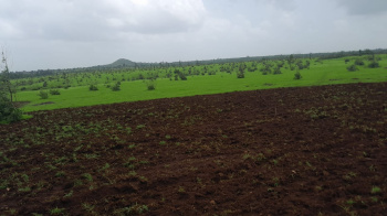 Agricultural Land for Sale in Shahapur, Thane