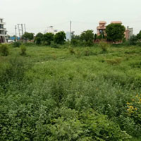  Residential Plot for Sale in Sector 10, Bahadurgarh