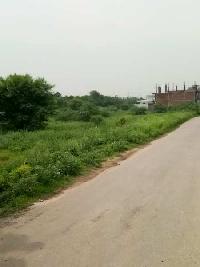  Residential Plot for Sale in Sector 13 Bahadurgarh