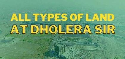  Agricultural Land for Sale in Dholera, Ahmedabad