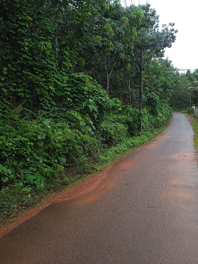 Agricultural Land 5 Ares for Sale in Beluvai, Mangalore