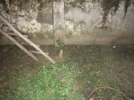  Residential Plot for Sale in Sitapur Road, Lucknow