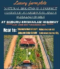 1 BHK Farm House for Sale in Gachibowli, Hyderabad