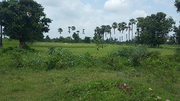  Residential Plot for Sale in Halol, Panchmahal