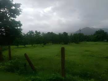  Commercial Land for Sale in Karjat, Mumbai