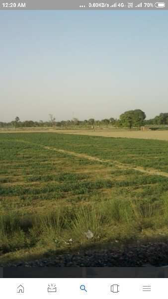 Residential Plot 9 Bigha for Sale in Tihu, Nalbari