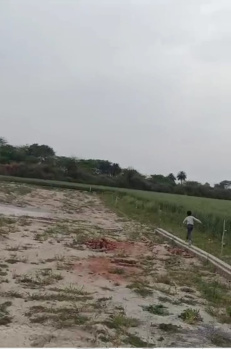  Residential Plot for Sale in Sector 78 Faridabad