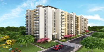 3 BHK Flat for Sale in Sector 84 Faridabad